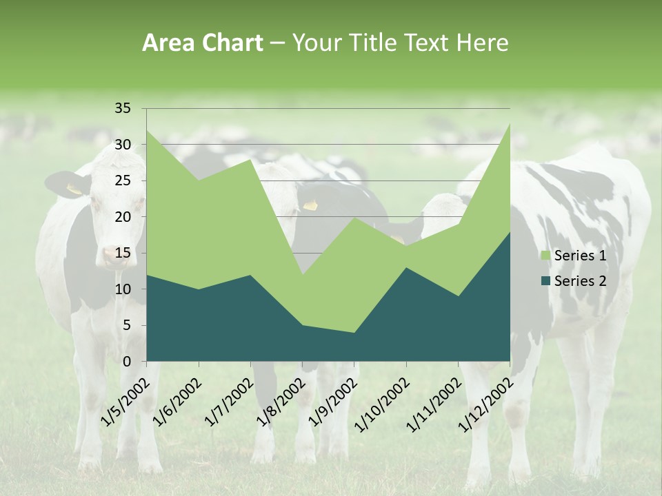 Rural Dairy Cattle Animal PowerPoint Template