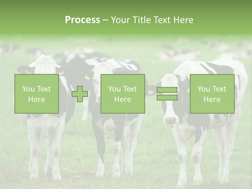 Rural Dairy Cattle Animal PowerPoint Template