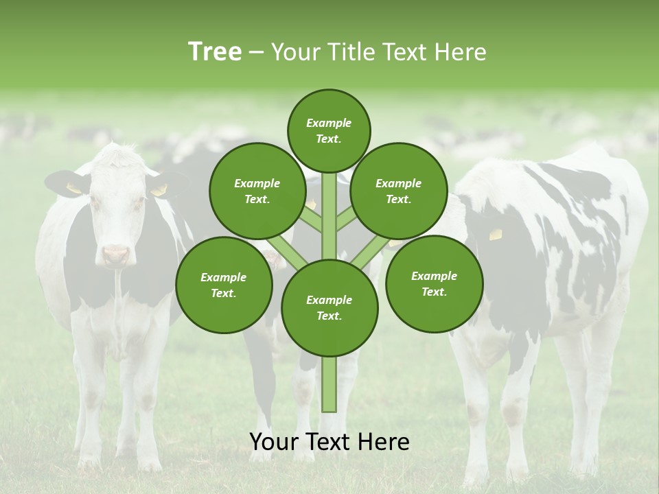 Rural Dairy Cattle Animal PowerPoint Template