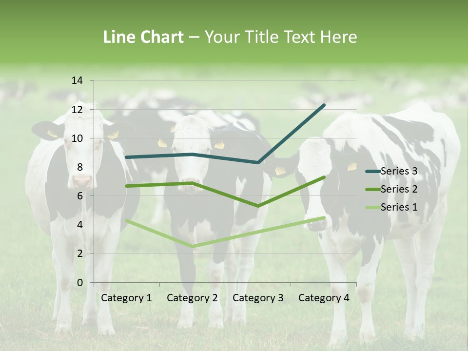 Rural Dairy Cattle Animal PowerPoint Template