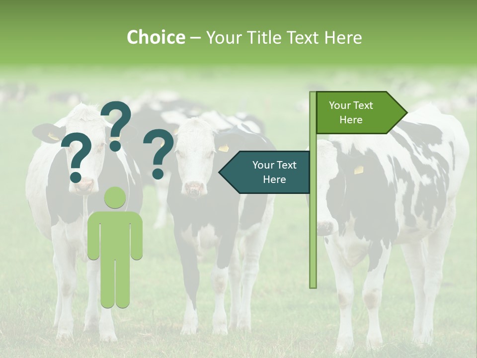 Rural Dairy Cattle Animal PowerPoint Template