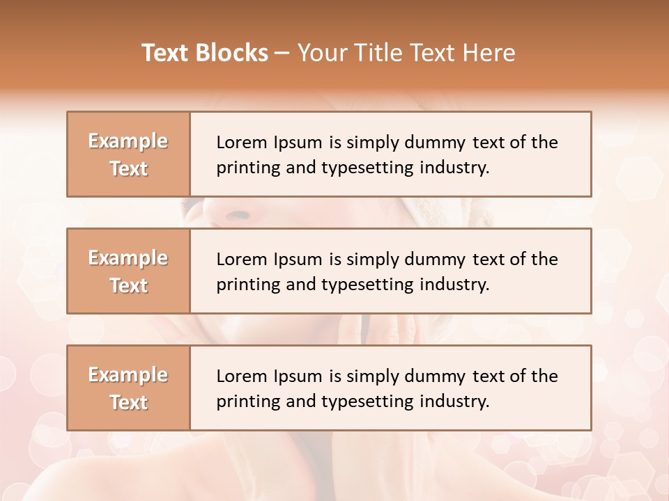 Pamper Face Salon PowerPoint Template