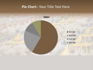 Barn Fertility Claws PowerPoint Template