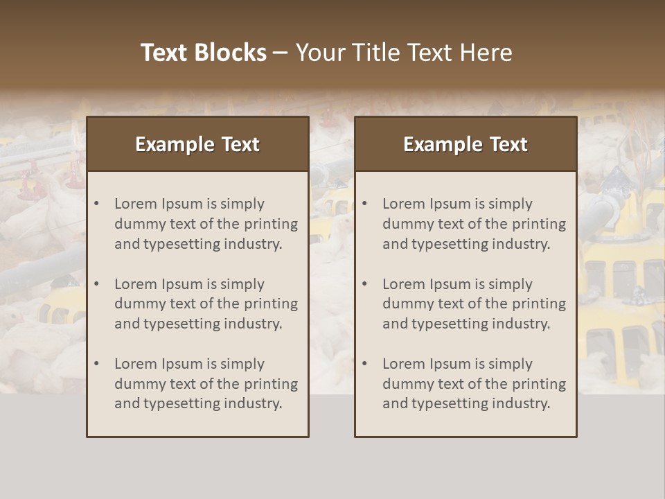 Barn Fertility Claws PowerPoint Template
