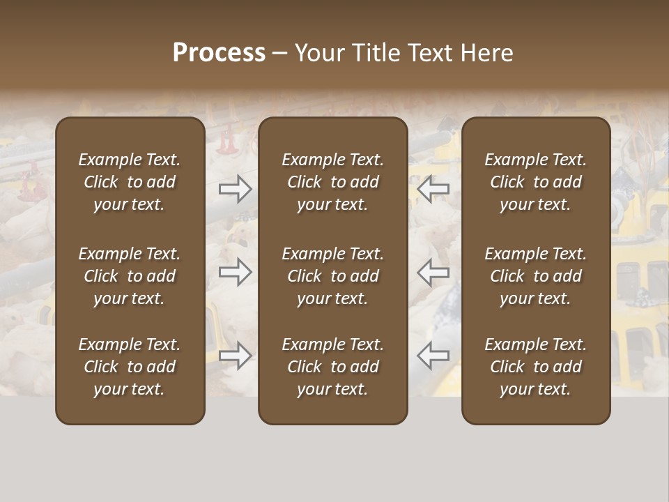 Barn Fertility Claws PowerPoint Template