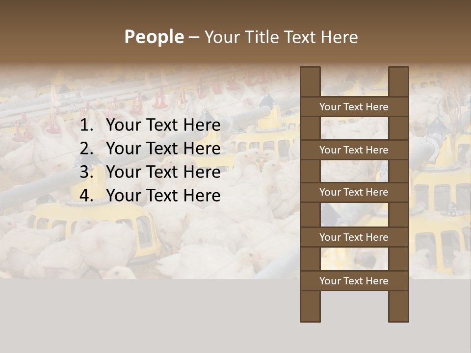 Barn Fertility Claws PowerPoint Template