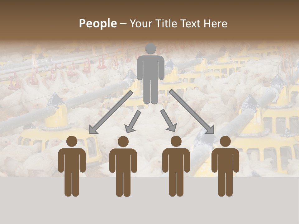 Barn Fertility Claws PowerPoint Template