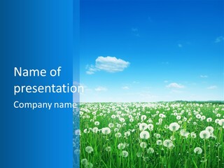 Dandelion Vibrant May PowerPoint Template