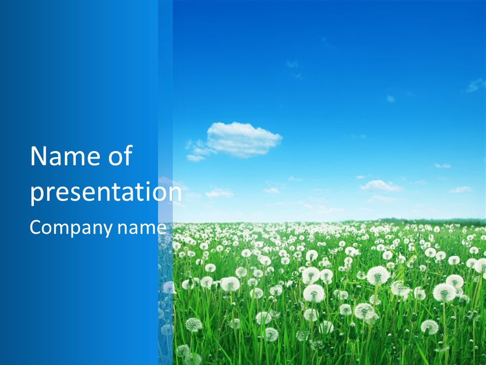 Dandelion Vibrant May PowerPoint Template