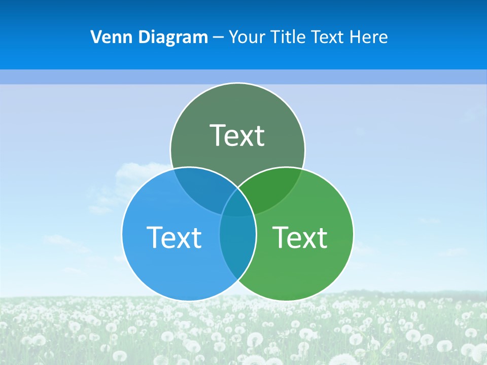 Dandelion Vibrant May PowerPoint Template
