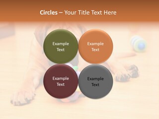 Young House Bullmastiff PowerPoint Template