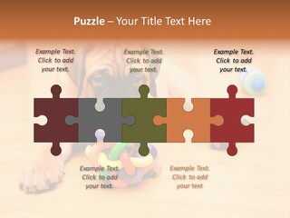 Young House Bullmastiff PowerPoint Template