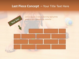 Young House Bullmastiff PowerPoint Template