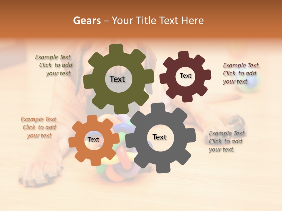 Young House Bullmastiff PowerPoint Template