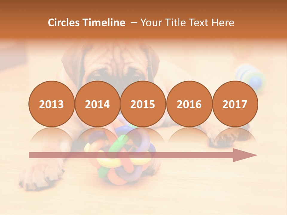 Young House Bullmastiff PowerPoint Template