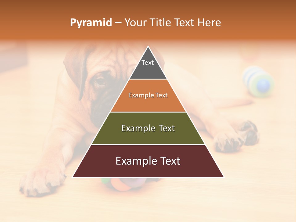 Young House Bullmastiff PowerPoint Template
