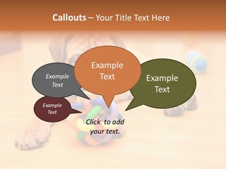 Young House Bullmastiff PowerPoint Template