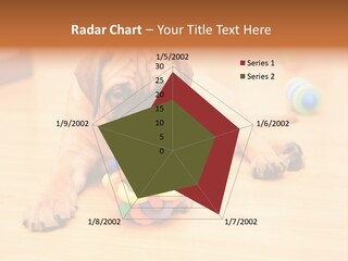 Young House Bullmastiff PowerPoint Template