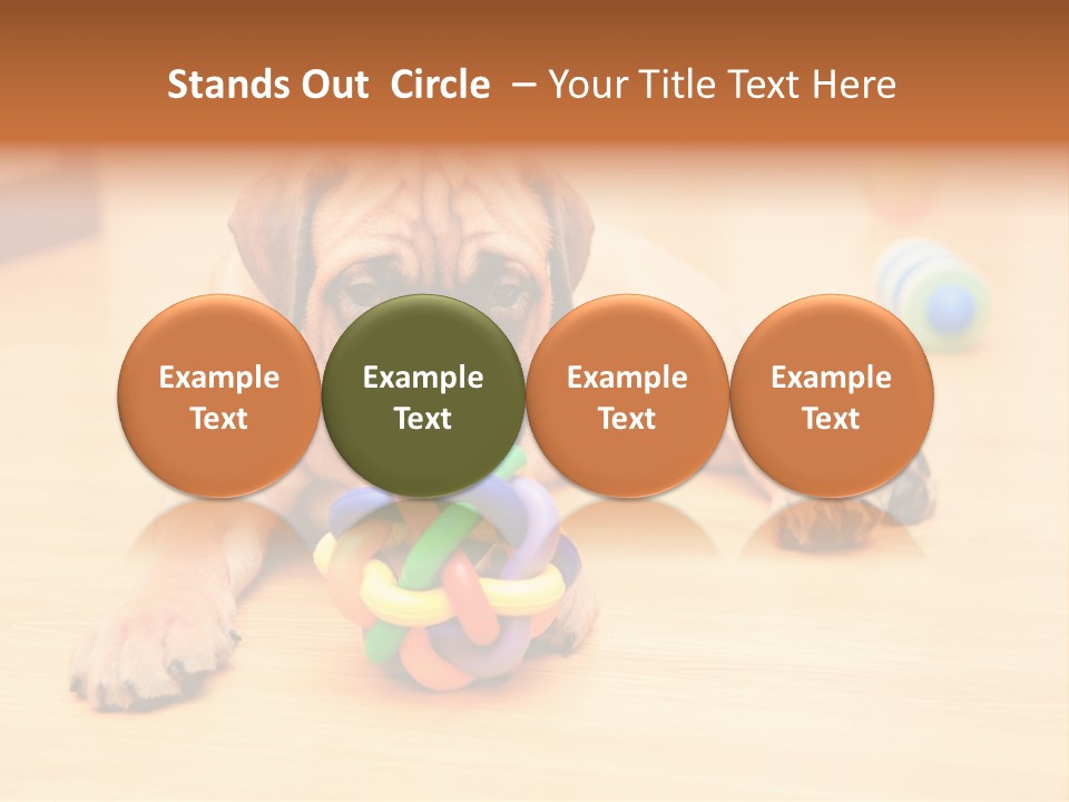 Young House Bullmastiff PowerPoint Template
