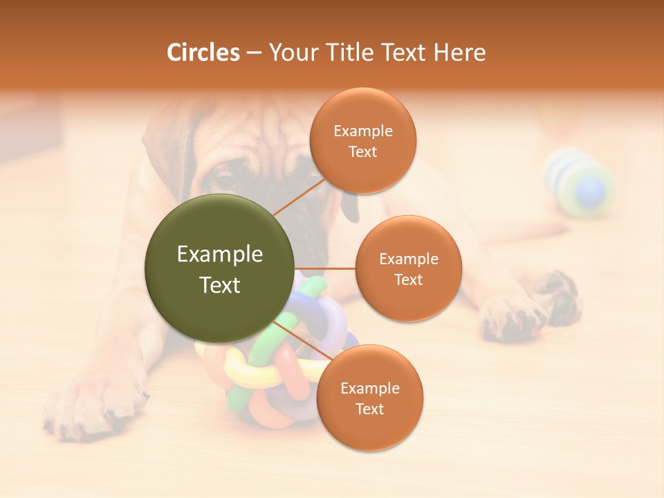 Young House Bullmastiff PowerPoint Template