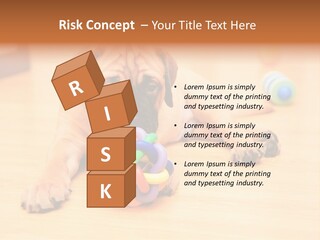 Young House Bullmastiff PowerPoint Template