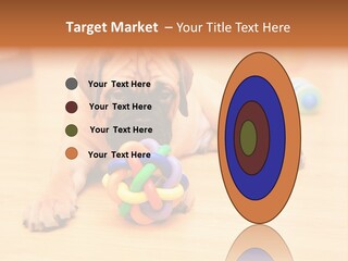 Young House Bullmastiff PowerPoint Template