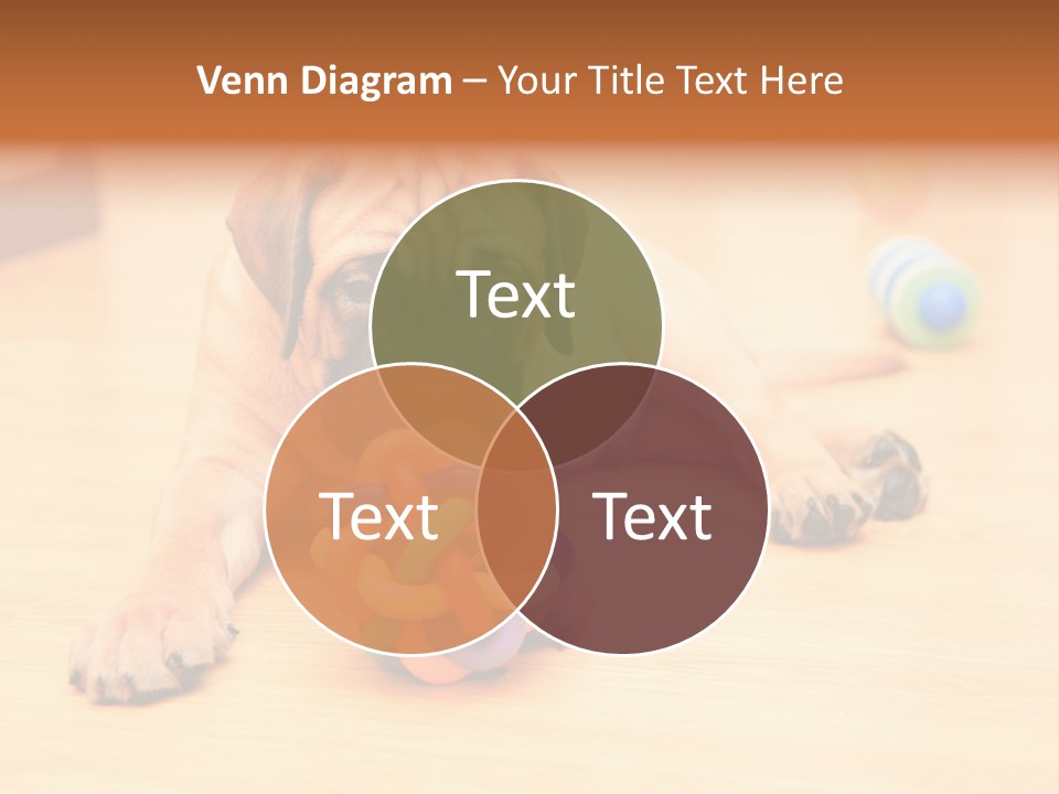 Young House Bullmastiff PowerPoint Template