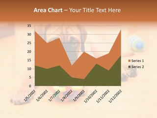 Young House Bullmastiff PowerPoint Template