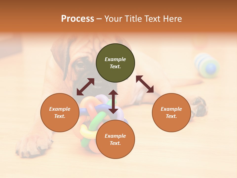 Young House Bullmastiff PowerPoint Template