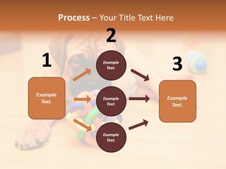 Young House Bullmastiff PowerPoint Template