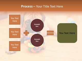Young House Bullmastiff PowerPoint Template