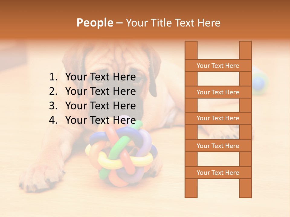 Young House Bullmastiff PowerPoint Template