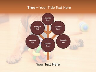 Young House Bullmastiff PowerPoint Template