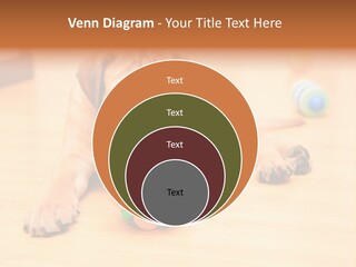 Young House Bullmastiff PowerPoint Template