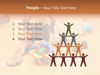 Young House Bullmastiff PowerPoint Template