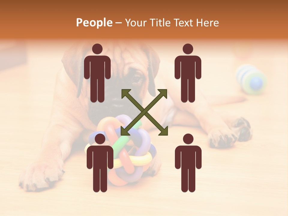 Young House Bullmastiff PowerPoint Template