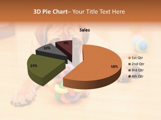Young House Bullmastiff PowerPoint Template