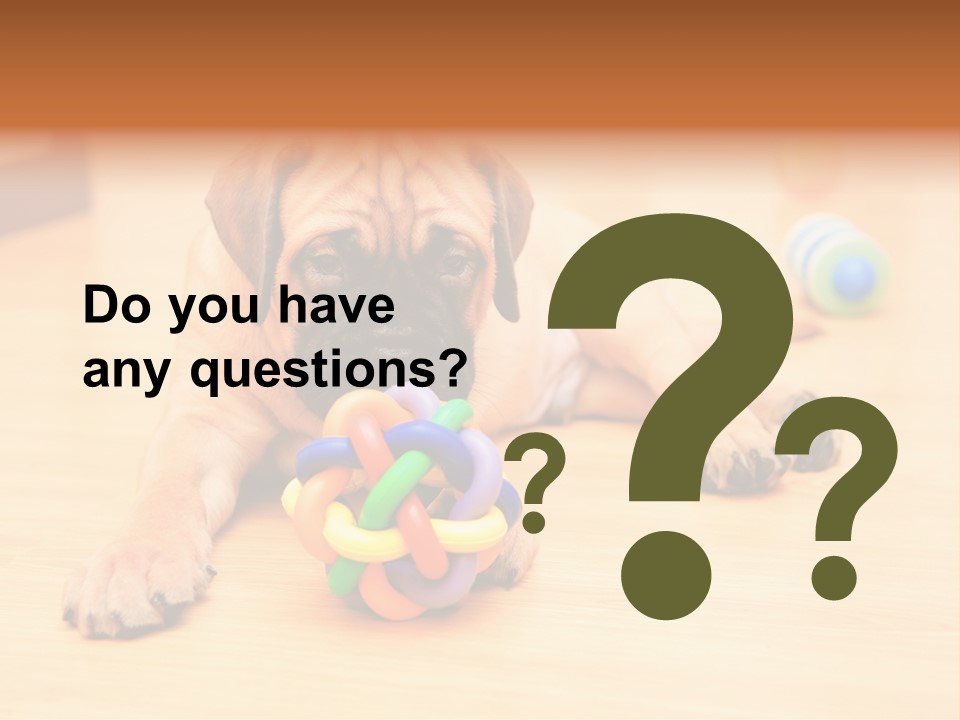 Young House Bullmastiff PowerPoint Template