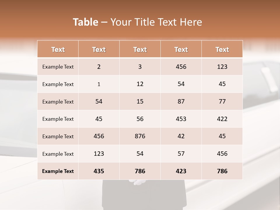 South Seafront Sightseeing PowerPoint Template