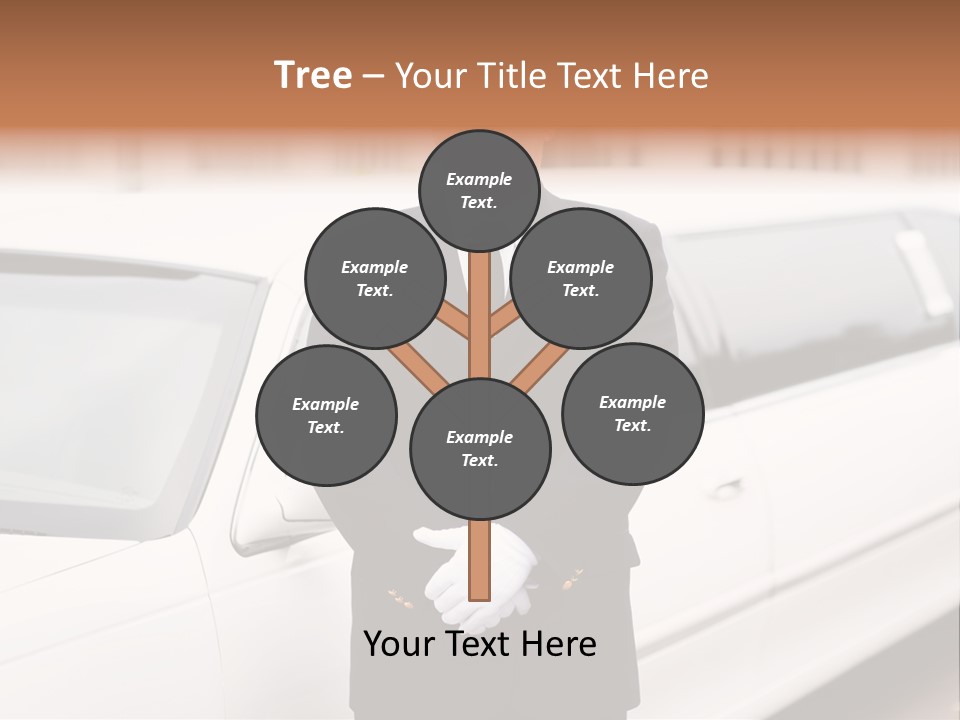 South Seafront Sightseeing PowerPoint Template