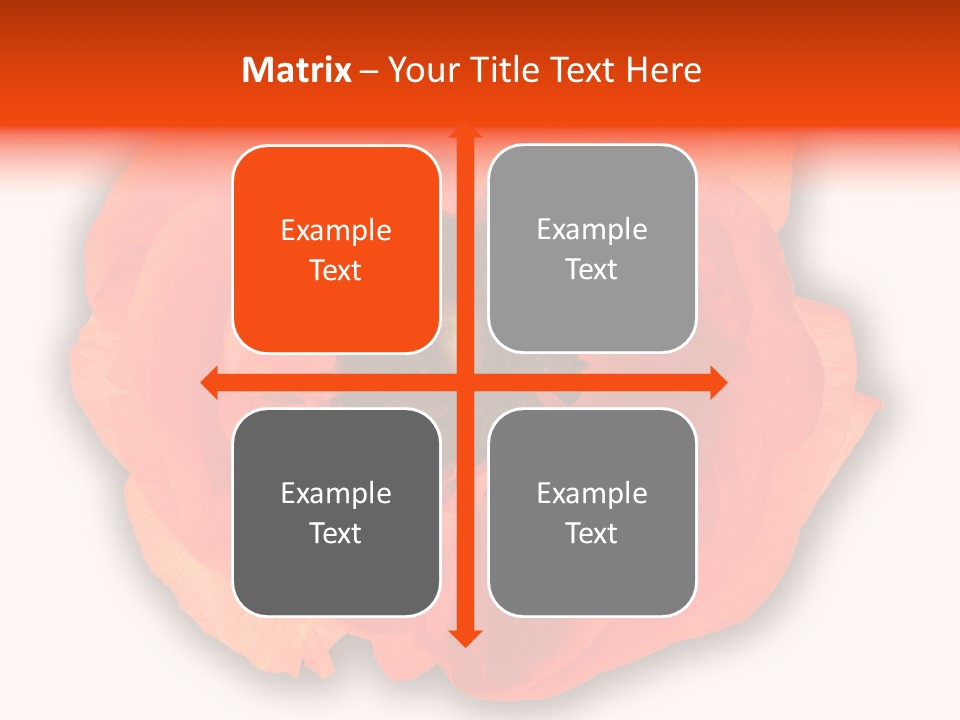 A Large Orange Flower With A White Background PowerPoint Template