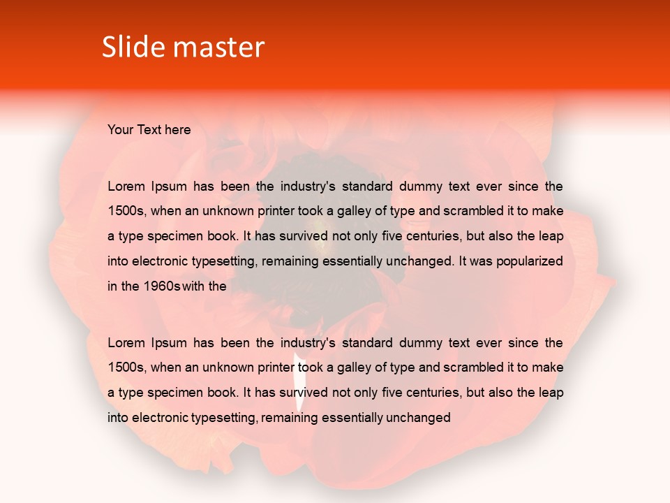 A Large Orange Flower With A White Background PowerPoint Template