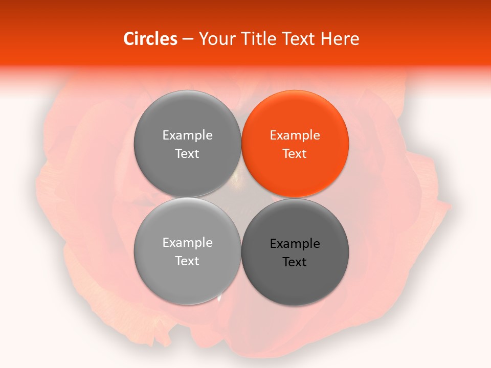 A Large Orange Flower With A White Background PowerPoint Template