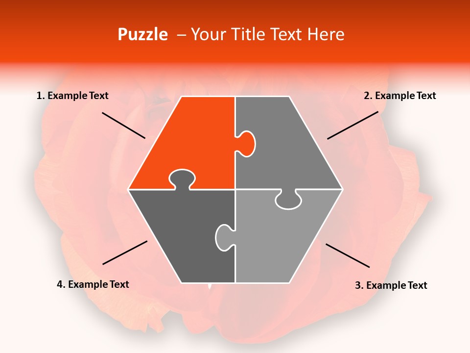 A Large Orange Flower With A White Background PowerPoint Template