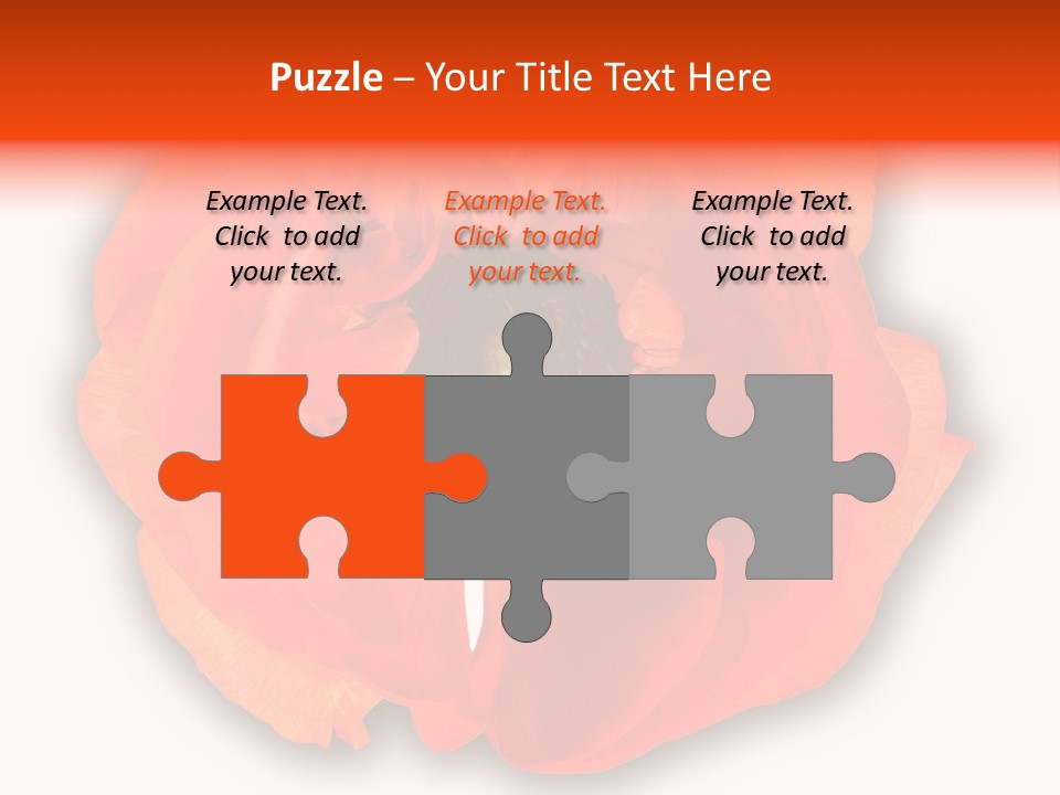 A Large Orange Flower With A White Background PowerPoint Template