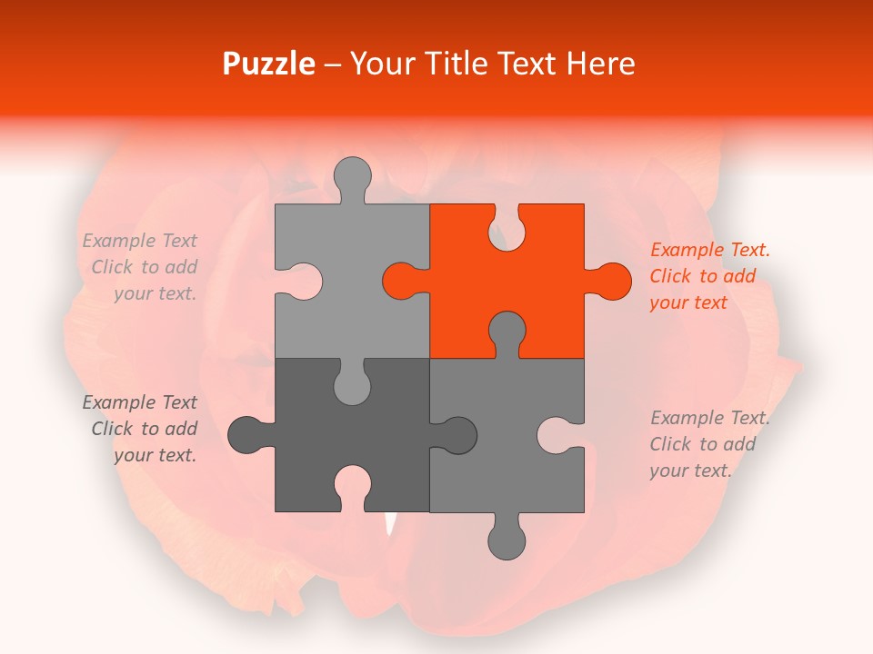 A Large Orange Flower With A White Background PowerPoint Template