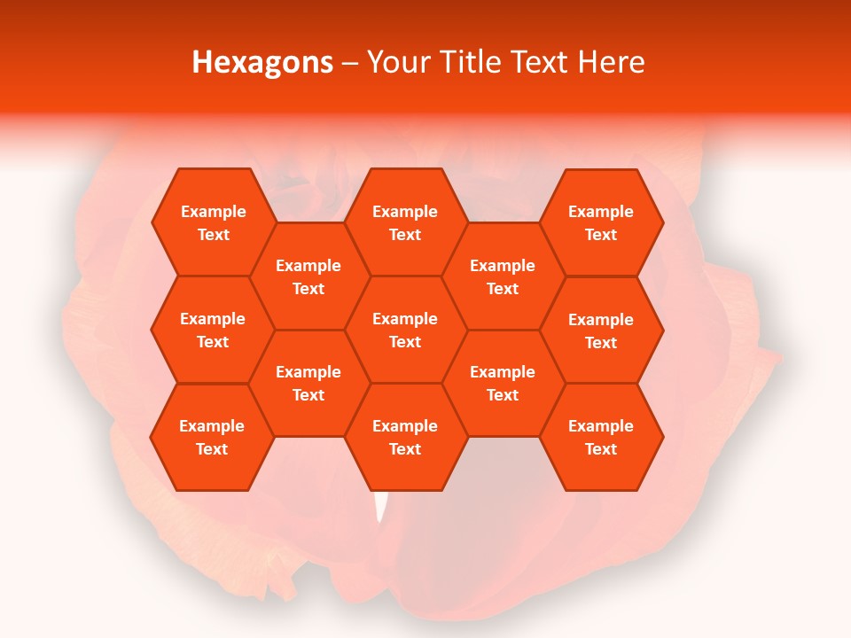 A Large Orange Flower With A White Background PowerPoint Template