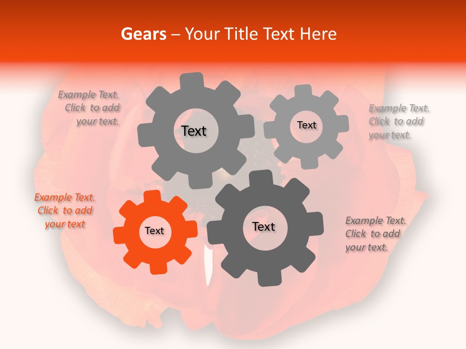 A Large Orange Flower With A White Background PowerPoint Template