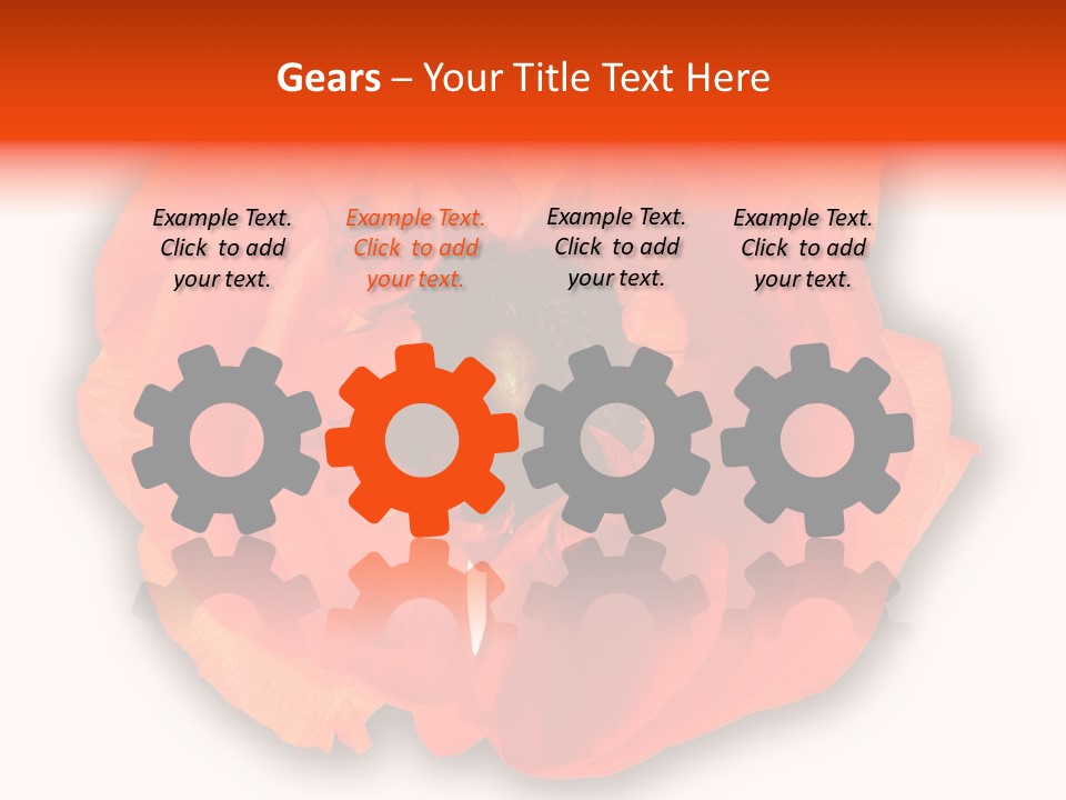 A Large Orange Flower With A White Background PowerPoint Template