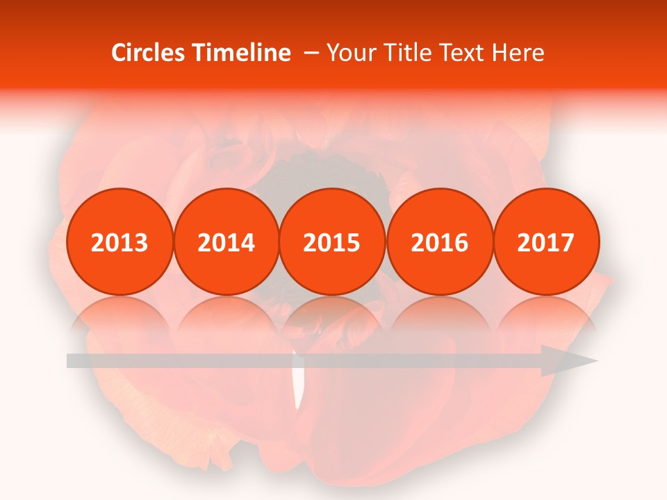 A Large Orange Flower With A White Background PowerPoint Template